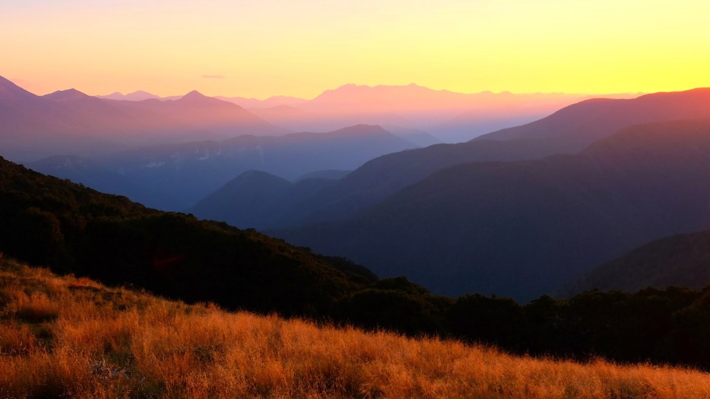 How did we get here? How do we get&nbsp;out?