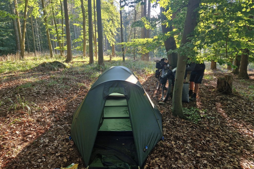 For the Love of&nbsp;Trees