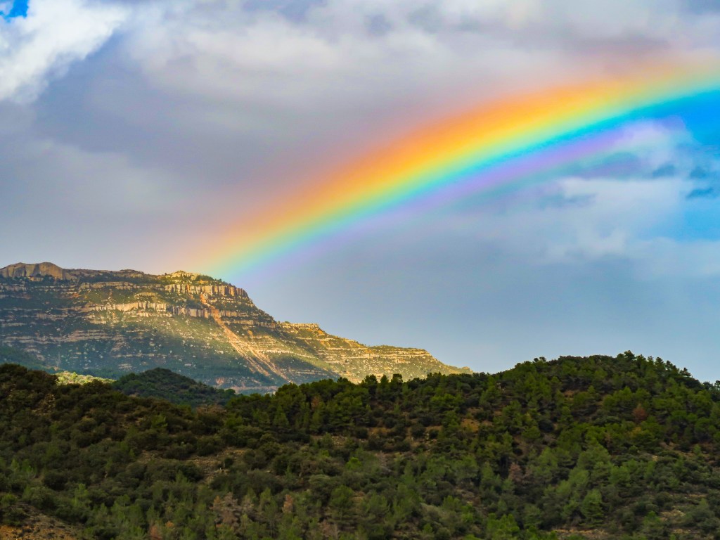 Finding the Happy&nbsp;Medium