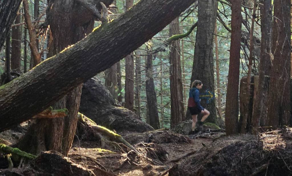 North Star Turning&nbsp;West