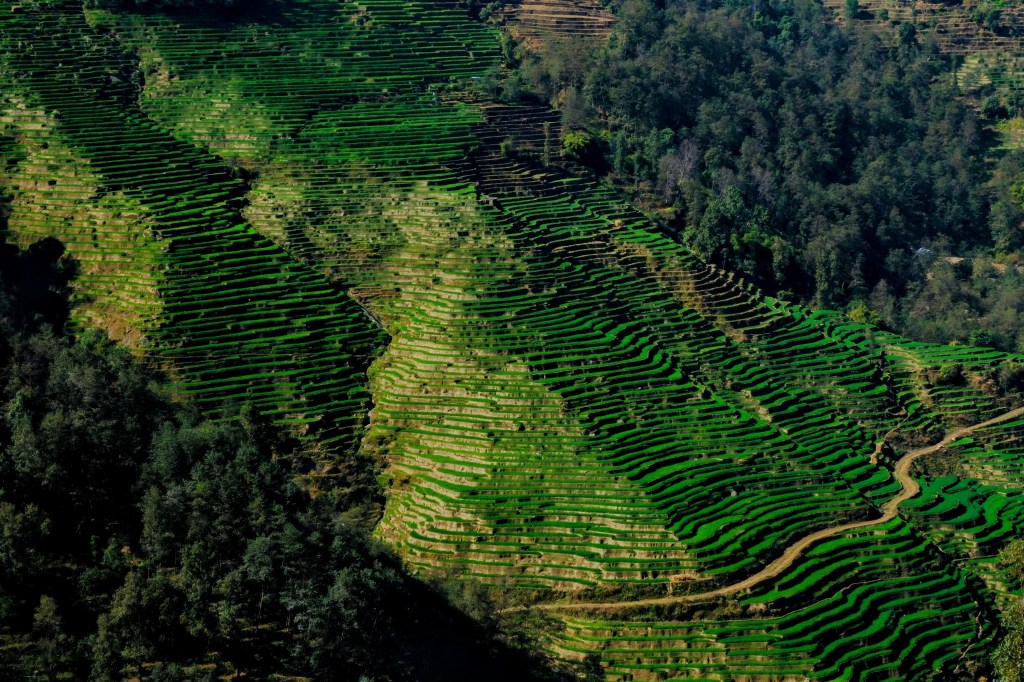 Nepal – Day One; A Tea House and a State of&nbsp;Confusion.